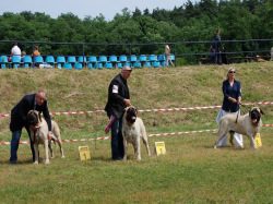 Szczecin-Cacib 24.06.2012