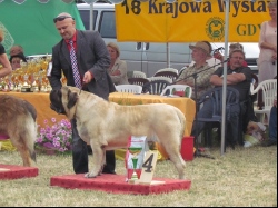 Wystawa Krajowa Gdynia 23.06.2013