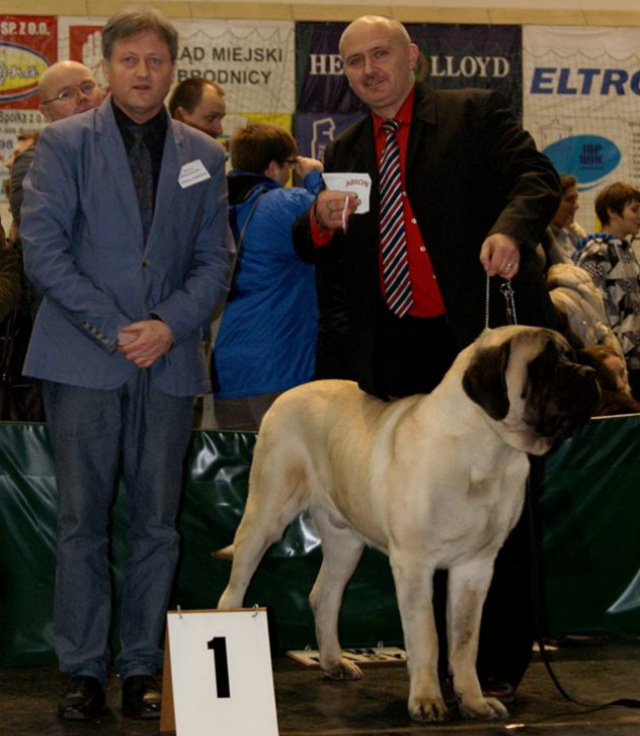 Brodnica Krajowa Wystawa Psów 17.01.2015