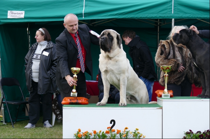 Inowrocław National Dog Show 19.04.2015