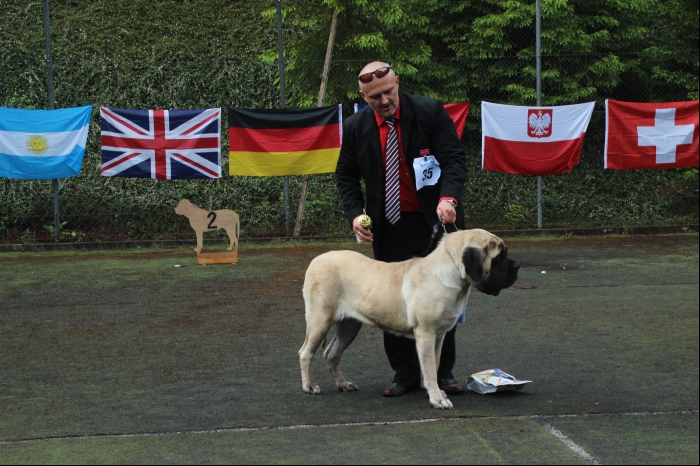 STUTTGART 2016 CLUB DOG SHOW GERMANY