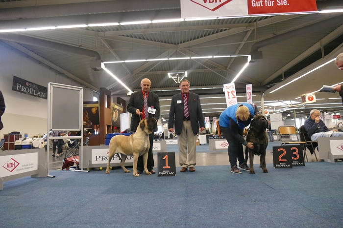 Dortmund Bundessieger Internationall Dog Show 14.10.2016