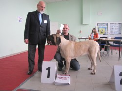 Walentynkowa Krajowa Wystawa Psów Rasowych Bydgoszcz 12.02.2011r.(CAC)